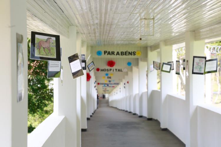 HOSPITAL DE DERMATOLOGIA SANITÁRIA DO PARANÁ COMEMORA 94 ANOS