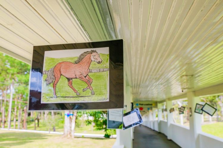 HOSPITAL DE DERMATOLOGIA SANITÁRIA DO PARANÁ COMEMORA 94 ANOS
