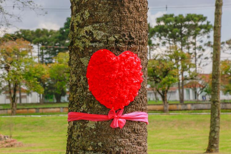 HOSPITAL DE DERMATOLOGIA SANITÁRIA DO PARANÁ COMEMORA 94 ANOS