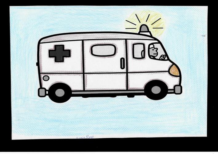 EXPOSIÇÃO DE PINTURAS REALIZADAS EM COMEMORAÇÃO DOS 94 ANOS DO HOSPITAL DE DEMATOLOGIA SANITÁRIA DO PARANÁ