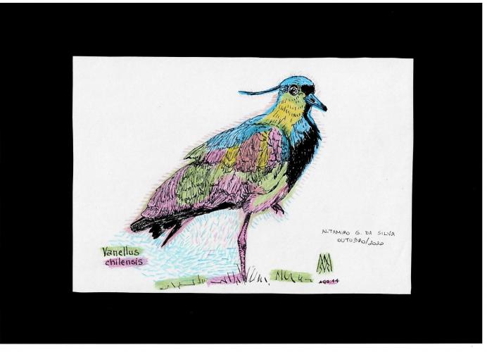 EXPOSIÇÃO DE PINTURAS REALIZADAS EM COMEMORAÇÃO DOS 94 ANOS DO HOSPITAL DE DEMATOLOGIA SANITÁRIA DO PARANÁ