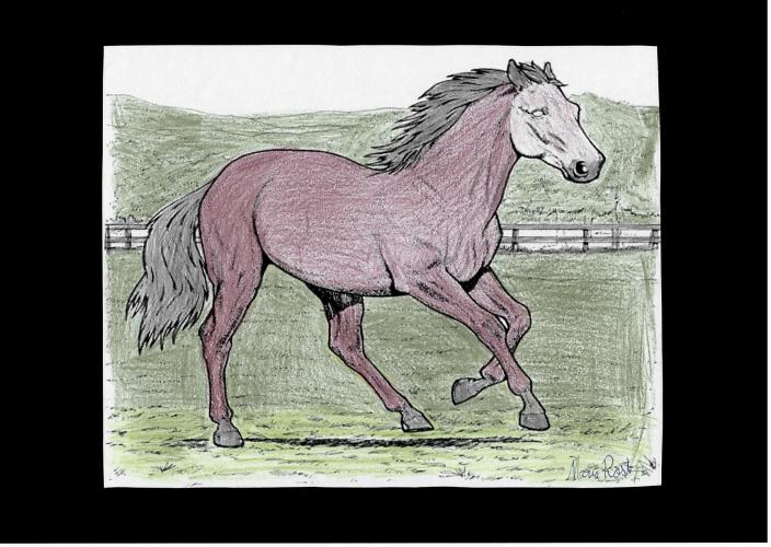 EXPOSIÇÃO DE PINTURAS REALIZADAS EM COMEMORAÇÃO DOS 94 ANOS DO HOSPITAL DE DEMATOLOGIA SANITÁRIA DO PARANÁ