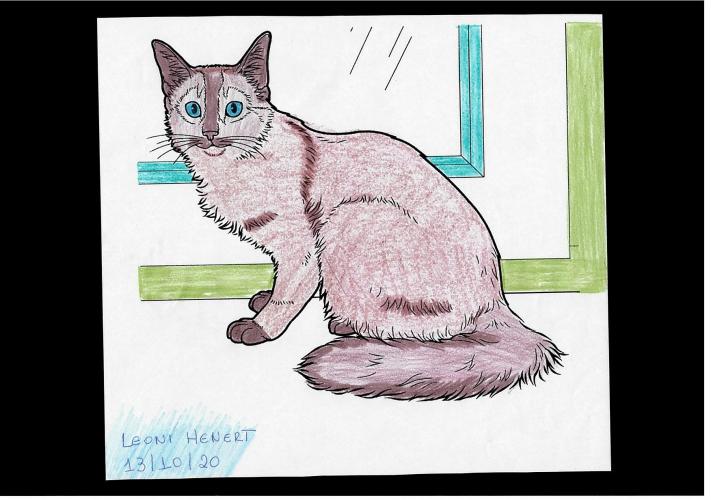 EXPOSIÇÃO DE PINTURAS REALIZADAS EM COMEMORAÇÃO DOS 94 ANOS DO HOSPITAL DE DEMATOLOGIA SANITÁRIA DO PARANÁ