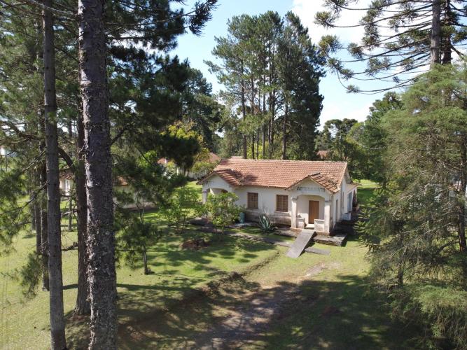 Governador e secretário da Saúde visitam Hospital de Dermatologia Sanitária do Paraná