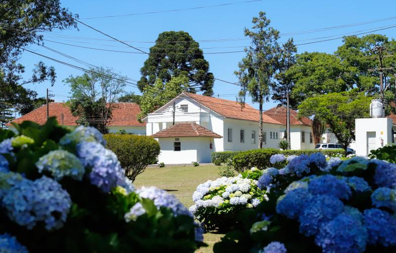 Governador e secretário da Saúde visitam Hospital de Dermatologia Sanitária do Paraná